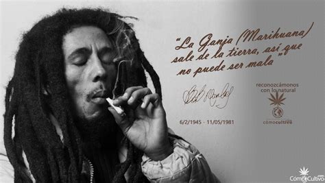 Cultiva El Alma Con Estas Frases De Bob Marley Comocultivo