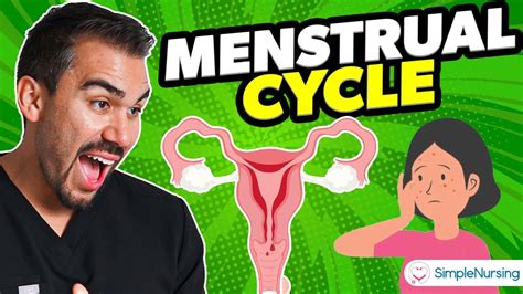 Menstrual Cycle Practice Questions And Nclex Review