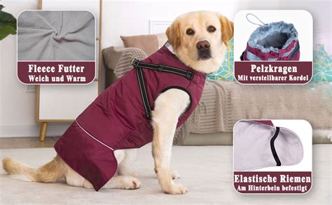 Axcimond Hundejacke Mit Geschirr Wasserdicht Hundemantel Warme