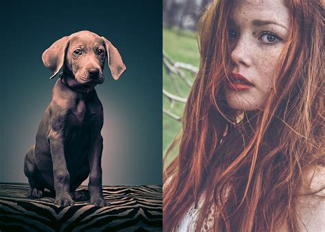 20 Best Lightroom Presets For Pro Results 2021 Colorlib