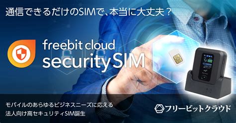 法人向け高セキュリティsim｜フリービットクラウド