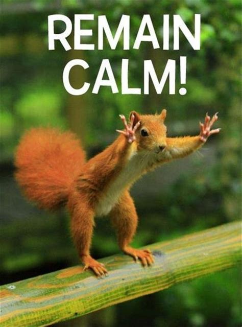 Remain Calm The Weekend Is Here Funny Pinterest The Ojays The