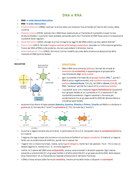 DNA Appunti Presi Durante La Lezione Integrati Con Materiali
