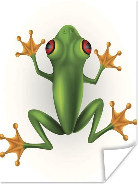 Une Illustration D Un Poster Grenouille Arboricole Aux Yeux Rouges