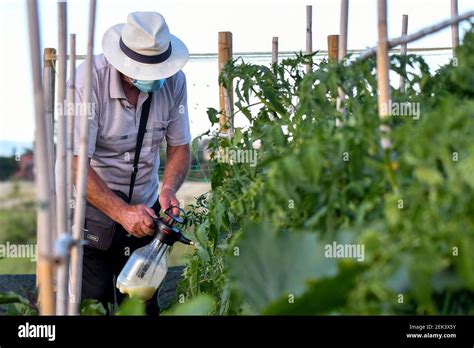 Roma Los Jardines Urbanos Son Espacios Verdes Que Se Pueden