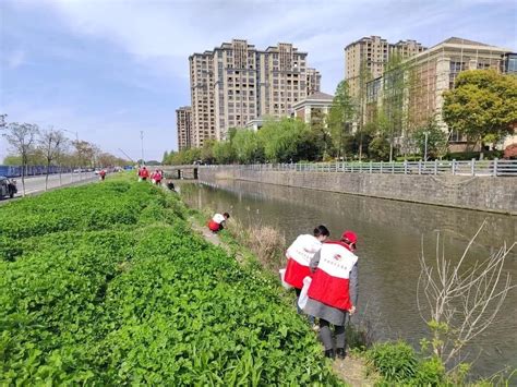 宁波：凝心聚力美河湖 碧水清流润甬城凤凰网宁波 凤凰网