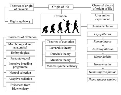 NCERT Solutions For Class 12 Biology Chapter 7 Evolution