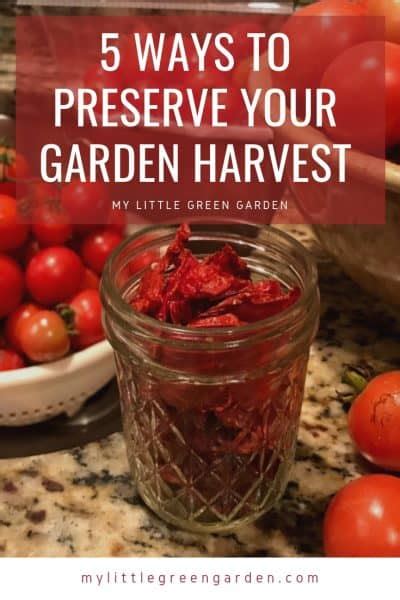 5 Ways To Preserve Your Garden Harvest My Little Green Garden