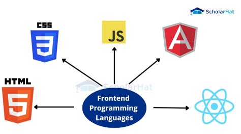 The Top Programming Languages For Web Development