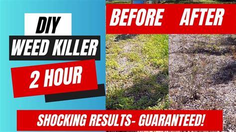 Fast Acting Diy Natural Weed Killer Recipe Non Toxic Youtube