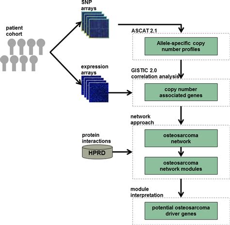 Analysis Workflow The Figure Gives An Outline Of The Analysis Download Scientific Diagram