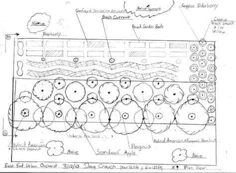 Orchard Layout Plan Design Permaculture Garden Orchard Permaculture Design Orchard