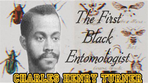 Forgotten Founders Charles Henry Turner The 1st Black Entomologists