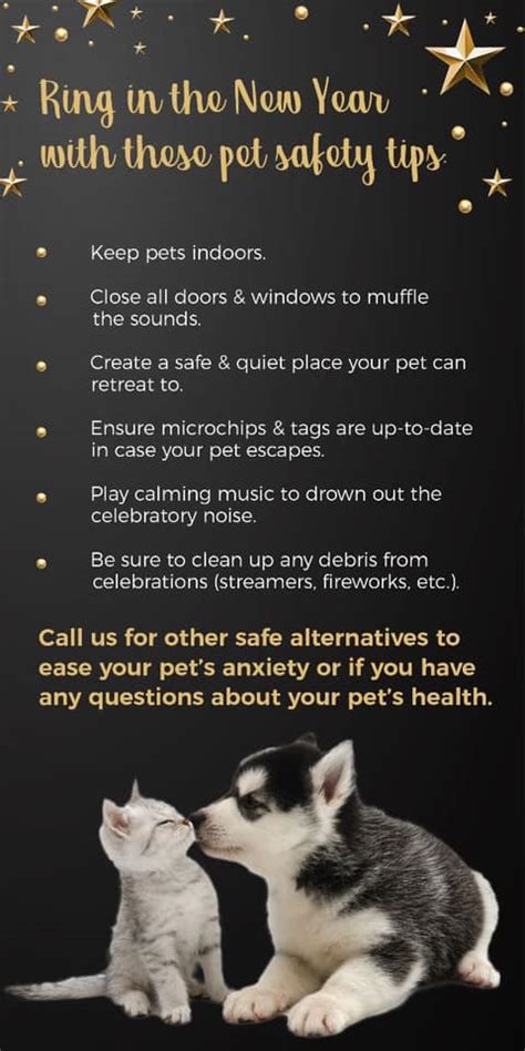 Ring In The New Year With These Pet Safety Tips