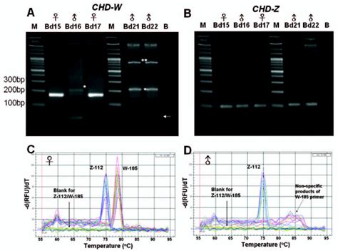 Representative Gel View And MCA Using Sex Specific Primers Of S C