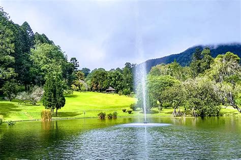 Menjejak Keindahan Luar Biasa Di Kebun Raya Cibodas Wisata Alam Yang