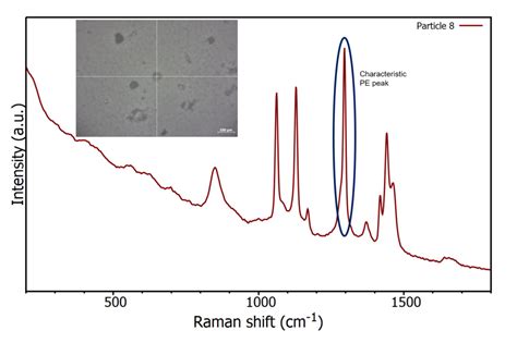 Etna Lab Identification Of Microplastics Using Raman Spectroscopy