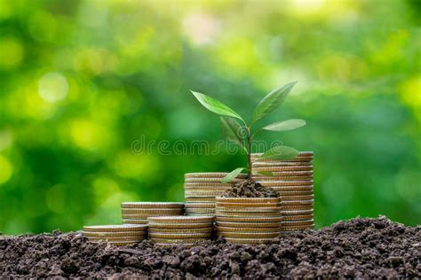 Money Saving Growing Money Finance And Investment Concept Plants