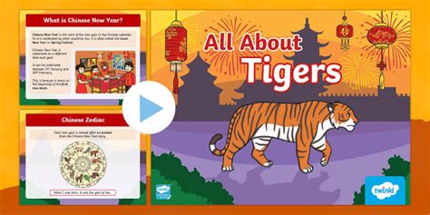 Eyfs All About Tigers Chinese New Year Powerpoint Twinkl