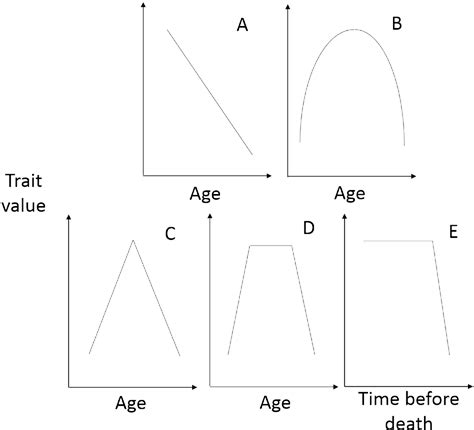 Figure 1 From Coupling Lifespan And Aging The Age At Onset Of Body