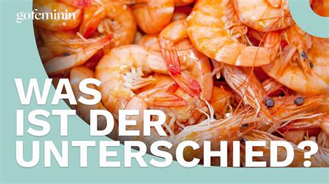 Gibt Es Einen Unterschied Zwischen Garnelen Krabben Und Shrimps YouTube