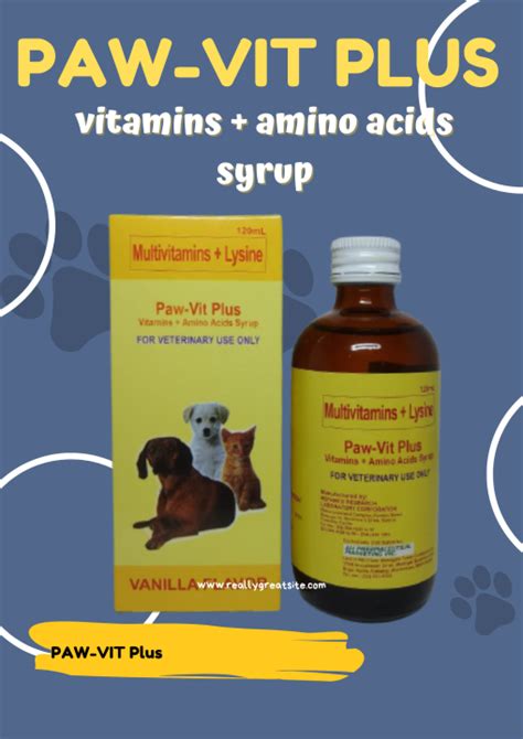 Vetklix 1pc Pawell Paw Vit Plus 120ml Vitamins Amino Acid Syrup