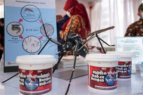 Exploring The Journey Of Dan Hughes At QVC