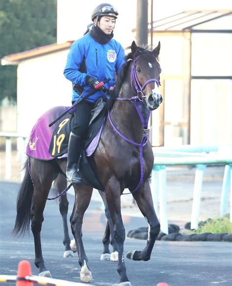 【日曜の注目新馬】トラマンダーレ、メンタルの課題残すも切れ味上位 Umatoku 馬トク