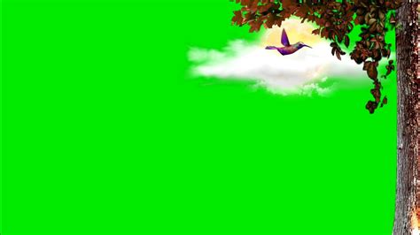 Moving Tree Leaves Green Screen Background Video Tree Green Screen Template Video Background