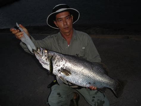 Joness Tackle Barra Fishing Near Brisbane