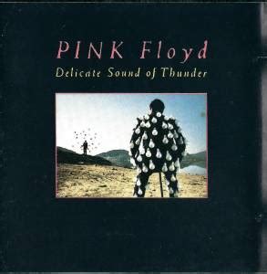 Delicate Sound Of Thunder Cd Live Von Pink Floyd