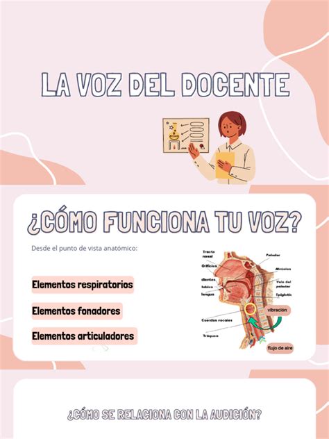 La Voz Del Docente Pdf Sonido Epidemiología