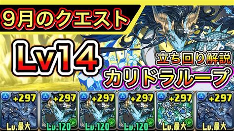 【lv14】カリドラループで9月のクエストダンジョン14を攻略！グランエルヴ立ち回り解説【パズドラ】【チャレダン14】 Youtube