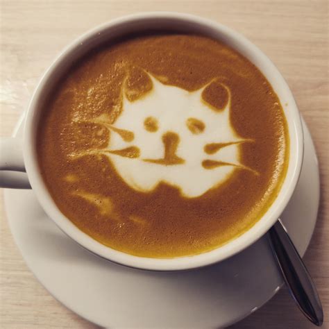 Cat latte art ☕🐱 : r/espresso