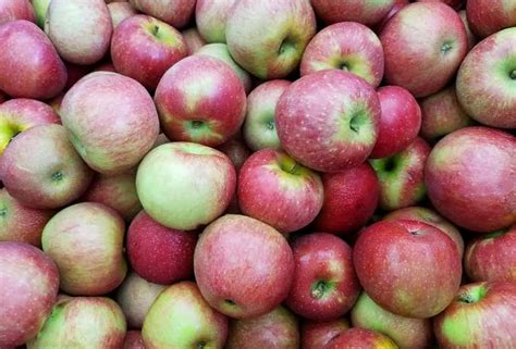 Rutgers On Farm Food Safety Home Facebook