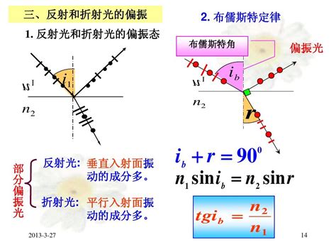 大物课件——光的偏振word文档在线阅读与下载无忧文档