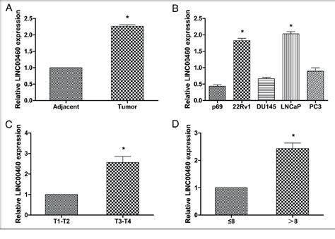 Figure 1 From Downregulated Linc00460 Inhibits Cell Proliferation And