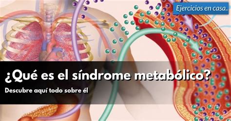 Qué es el síndrome metabólico Ejercicios En Casa