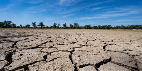 El Niño macht globale Hitzerekorde wahrscheinlicher