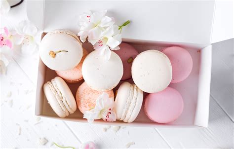 Pink Macarons Wallpapers Wallpaper Cave