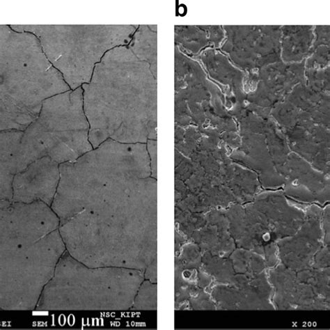 SEM Images Of The Pure Tungsten Surface Exposed To 10 A C And 100