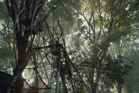 Small Ferris Wheel In The Morning Stock Photo Image Of Wheel Forest