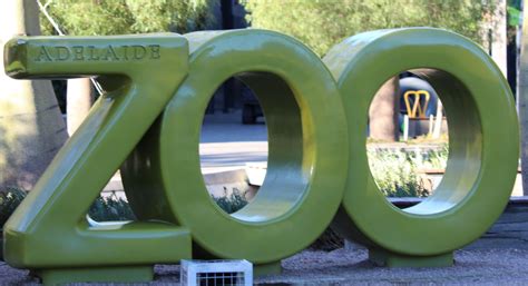 Adelaide Zoo Jenny Latto