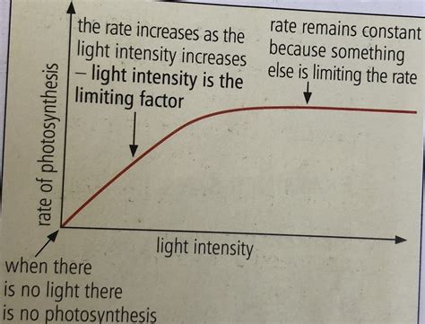 Limiting Factors On Photosynthesis Diagram Quizlet