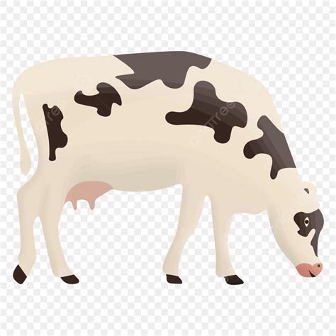 Looking Down Vector Art PNG, Holstein Friesian Cattle Looking Down To Eat, Cattle, Friesian ...