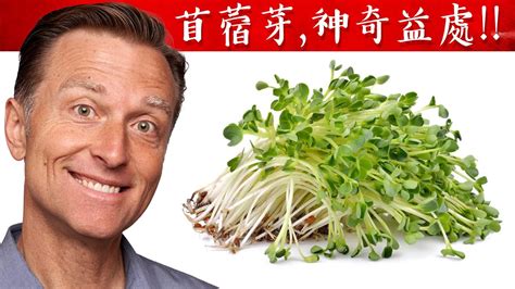 苜蓿芽的神奇好處自然療法柏格醫生 Dr Berg Youtube