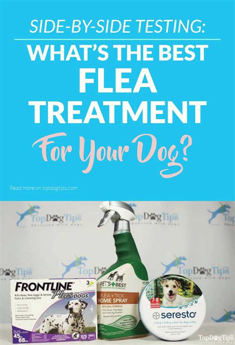 3 Best Flea and Tick Treatment for Dogs Review & Testing