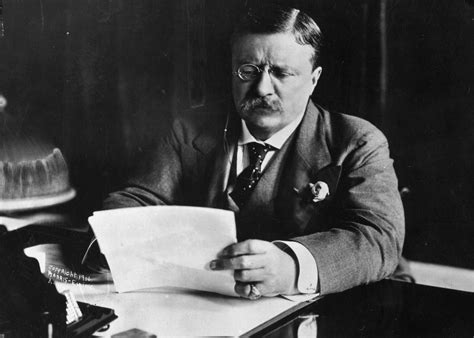 Democrats Republicans And A Lesson From Theodore Roosevelt Time