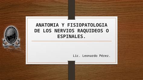 PPTX Anatomía y fisiopatología de los nervios raquídeos o espinales