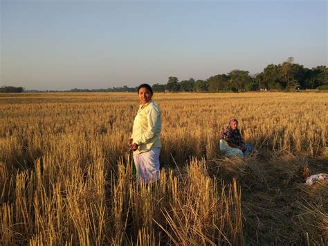 Workers In Paddy Fields Smithsonian Photo Contest Smithsonian Magazine